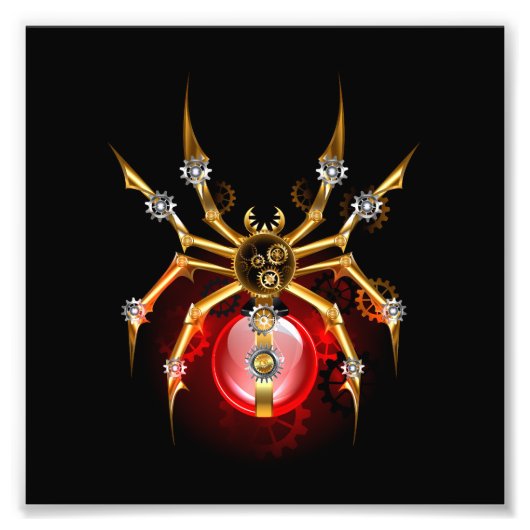 ブラックスティームパンクスパイダー フォトプリント            (正面)