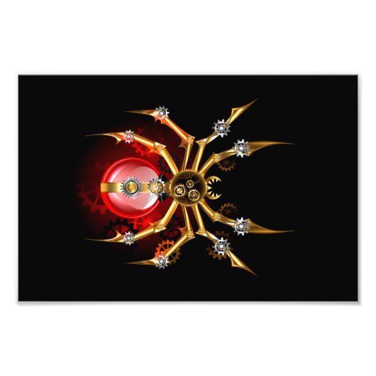 ブラックスティームパンクスパイダー フォトプリント            (正面)