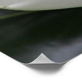 ブラックスバーグキャンパスのマグノリアブロッサム ポスター (角)