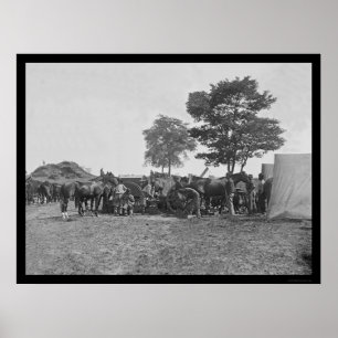 ブラックスミスShoeing Horses at Antietam 1862 ポスター