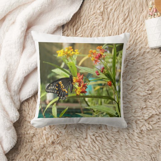 ブラックスワローバタフライ#2 クッション (ブランケット)