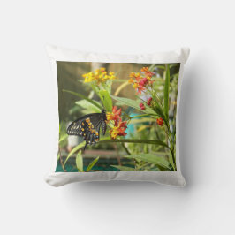 ブラックスワローバタフライ#2 クッション
