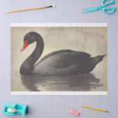 ブラックスワンの水の色のデカップバードイラストレーション 薄葉紙 (クラフト)