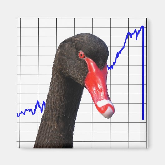 ブラックスワン市場の崩壊 マグネット (正面)