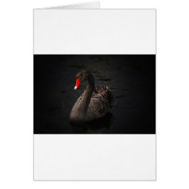 ブラックスワン