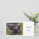 ブラックスワン – ありがとう サンキューカード (スタンド正面)