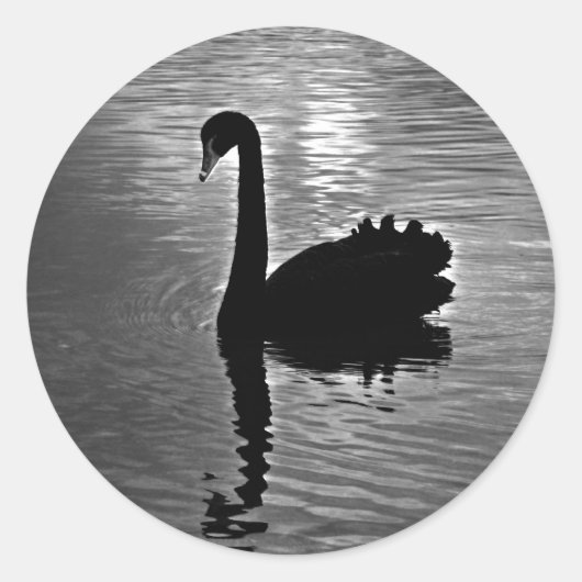 ブラックスワン – オーストラリア先住民動物 ラウンドシール (正面)