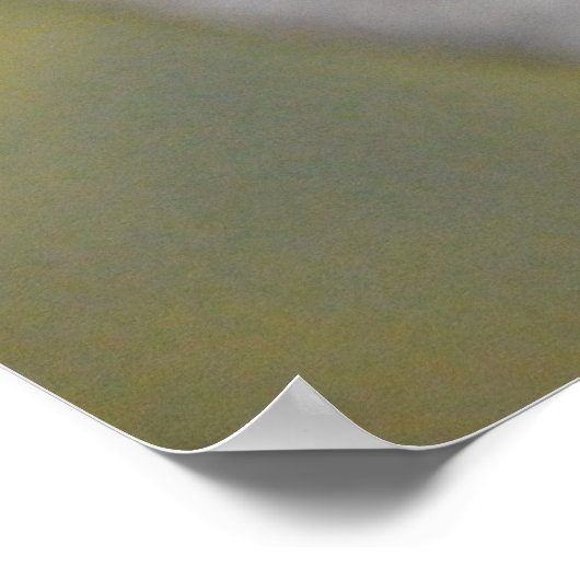 ブラックスワン ポスター (角)