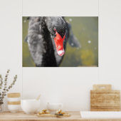 ブラックスワン ポスター (キッチン)