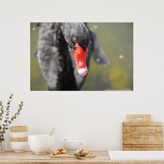 ブラックスワン ポスター (キッチン)