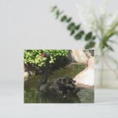 ブラックスワン ポストカード (スタンド正面)