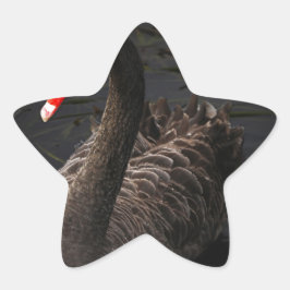 ブラックスワン 星シール