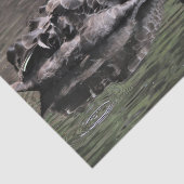 ブラックスワン 薄葉紙 (詳細)