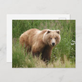 ブラックス秋アラスカ ポストカード (正面/裏面)