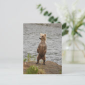 ブラックス秋アラスカ ポストカード (スタンド正面)