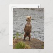 ブラックス秋アラスカ ポストカード (正面/裏面)