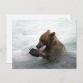 ブラックス秋アラスカ ポストカード (正面/裏面)