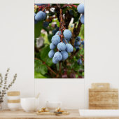 ブラックソーン果実 ポスター (キッチン)