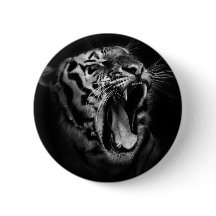 ブラックタイガーとホワイトタイガー感動的