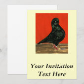 ブラックタンブラー鳩の水色 招待状 (正面/裏面)