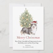 ブラックタンホワイトコルギとクリスマスツリーペットドッグ シーズンカード (正面)