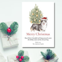 ブラックタンホワイトコルギとクリスマスツリーペットドッグ