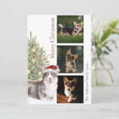 ブラックタンホワイトコルギクリスマスツリーペットドッグフォト シーズンカード (スタンド正面)