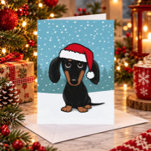ブラックタン ダックスフント サンタ かわいい犬 クリスマス