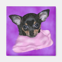 ブラックタン チワワ 子犬 マグネット