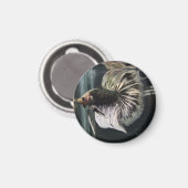 ブラックダルマチアン磁石 マグネット (正面/裏面)