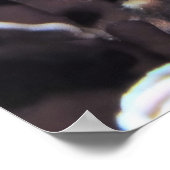 ブラックチップハタ ポスター (角)