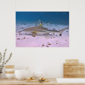 ブラックチップリーフシャークon the flats ポスター (キッチン)