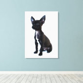 ブラックチワホアパピー キャンバスプリント (インサイチュ (ウッドフロア))