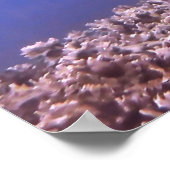 ブラックティップリーフザリーフ ポスター (角)