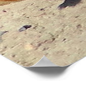 「ブラックテイルプレーリードッグプリント ポスター (角)