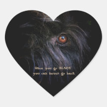 ブラックテリアロシアのー