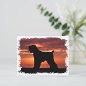 ブラックテリアロシアのー ポストカード (スタンド正面)