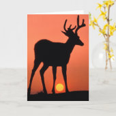 ブラックテールまたはムレディアー |オリンピック国立公園 カード (黄色い花)