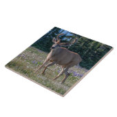 ブラックテールディアバック |オリンピック国立公園 タイル (側面)