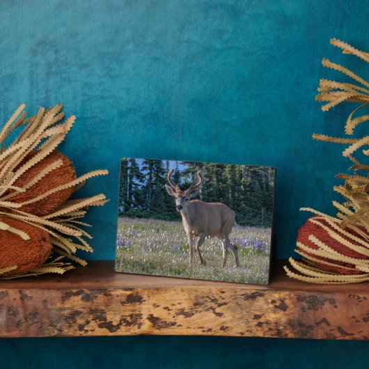 ブラックテールディアバック |オリンピック国立公園 フォトプラーク (側面)