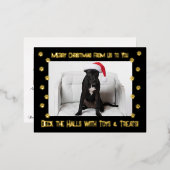 ブラックデッキのおもちゃとトリート付きホール2写真 箔シーズンポストカード (正面/裏面)