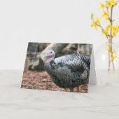 ブラックトルコ カード (黄色い花)