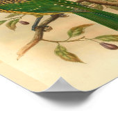 ブラックナップグリーンキャットバードヴィンテージプリント ポスター (角)