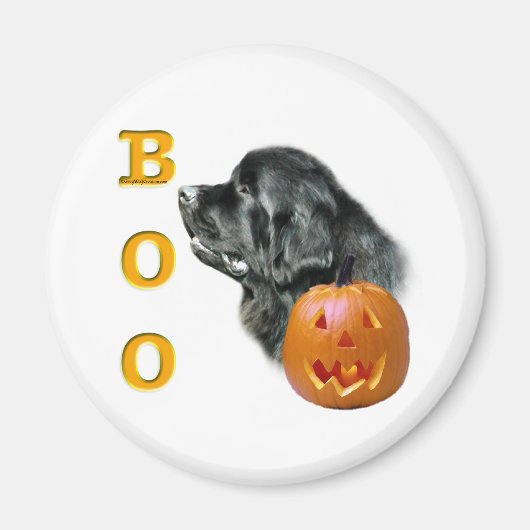 ブラックニューファンドランドBoo – マグネット (正面)