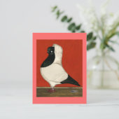 ブラックヌーンハト ポストカード (スタンド正面)