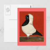 ブラックヌーンハト ポストカード (正面/裏面)