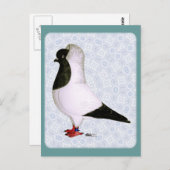 ブラックヌーンピジョン1973 ポストカード (正面/裏面)