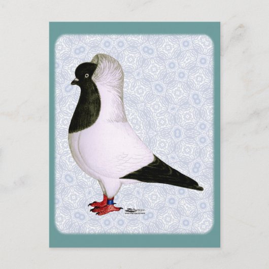 ブラックヌーンピジョン1973 ポストカード (正面)