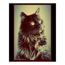 ブラックノルウェーフォレストキャット