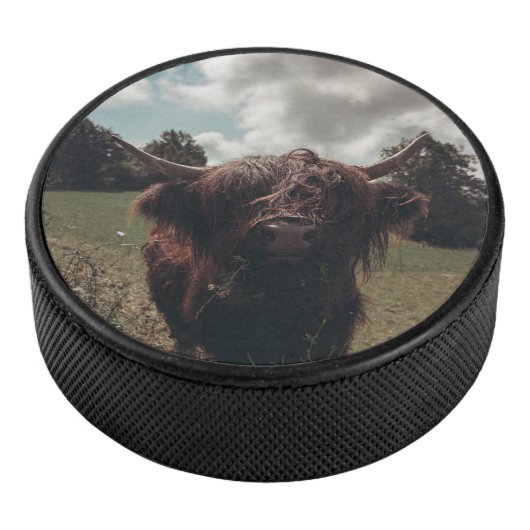 ブラックハイランドスコットランド牛の放牧ヴィンテージレトロ アイスホッケーパック (3/4)